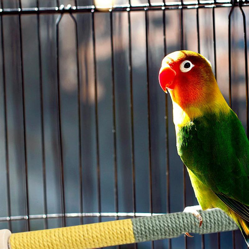 Putnu platforma Asaris Lovebird Laktas Putnu statīvs Papagailis Aksesuāri Putnu Rotaļlietas Koka Papagailis Asaris Putnu Statīvs Pole Putns