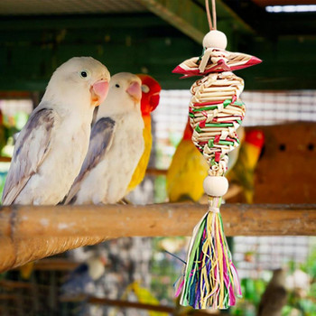 Παπαγάλος που αναζητά τροφή Παιχνίδι Parakeet Bird Perch Chewing Toy Bird Chew Toys Perch Stand For Parrotlet Conure Lovebird Budgies
