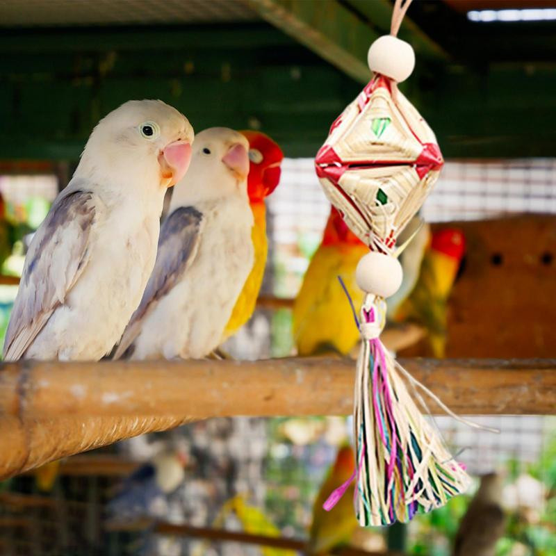 Papagailis barības meklēšanas rotaļlieta Papagailis putns asaris košļājamā rotaļlieta putns košļājamās rotaļlietas asari statīvs papagaiļai Conure Lovebird budgies