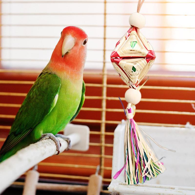 Putnu smalcināšana lopbarības meklēšanas rotaļlietas Košļājamā rotaļlieta Putnu sasmalcināta papīra putnu būris mīlas putnam Conure Budgies Papagaiļu cockatiel