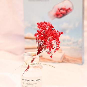 12 εκ. Μικρά λουλούδια φρέσκα κονσέρβα Gypsophila Paniculata Αιώνιες ανθοδέσμες για την Ημέρα του Αγίου Βαλεντίνου Σπίτι Διακόσμηση Γάμου για Πάρτι Ψεύτικο λουλούδι