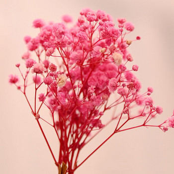 12 см малки пресни консервирани цветя Gypsophila Paniculata Вечни букети Свети Валентин Домашно парти Сватбен декор Фалшиво цвете