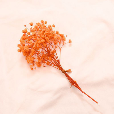 12cm Mazie svaigi konservēti ziedi Gypsophila Paniculata mūžīgie pušķi Valentīndienas mājas ballītes kāzu dekors Viltus zieds