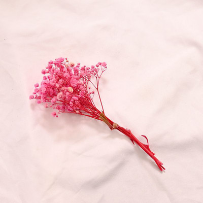 12cm Mazie svaigi konservēti ziedi Gypsophila Paniculata mūžīgie pušķi Valentīndienas mājas ballītes kāzu dekors Viltus zieds