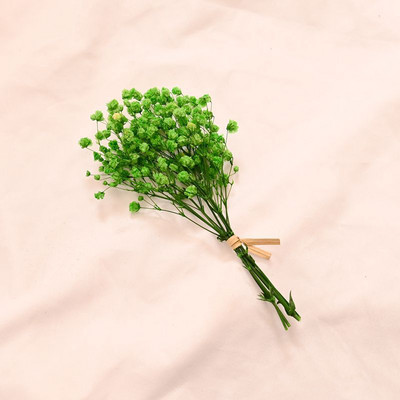 12cm Mazie svaigi konservēti ziedi Gypsophila Paniculata mūžīgie pušķi Valentīndienas mājas ballītes kāzu dekors Viltus zieds
