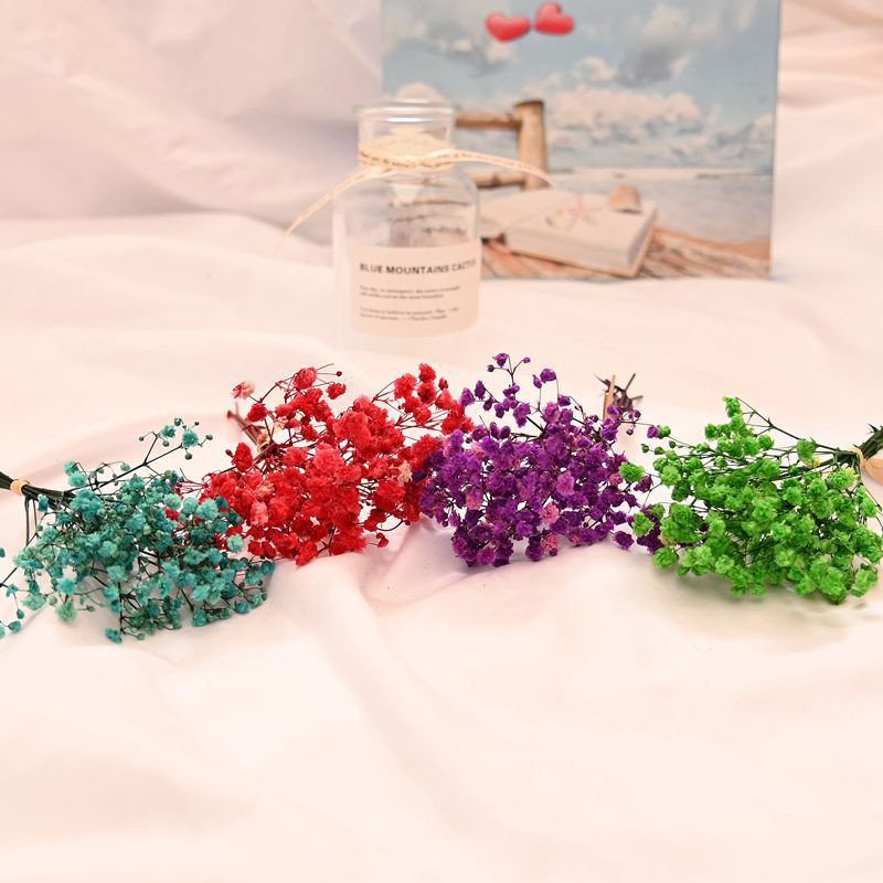 12cm Mazie svaigi konservēti ziedi Gypsophila Paniculata mūžīgie pušķi Valentīndienas mājas ballītes kāzu dekors Viltus zieds