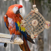 Papagaiļu virvju tīkls Dabīgs putnu rotaļlietas šūpošanās tīkls barības meklēšanai kāpšanai un spēlēšanai. Izturīgs seifs Lovebird Cockatiel Budgie Supply