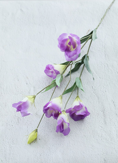 7 galviņas Eustoma Lisianthus zīda mākslīgie ziedi dekorēšanai mājas kāzām Viltus ziedu vidusdaļas galdiem Bezmaksas piegāde