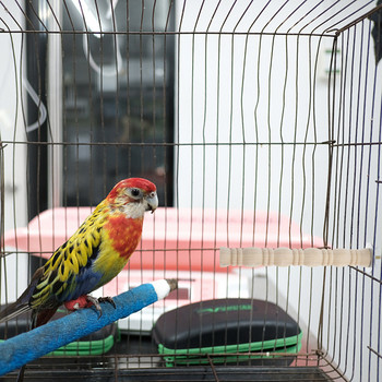 Represent Bird Cage Toys Стойка за папагали Кацалки Дървени естествени кацалки за птици Аксесоари Стойки Папагали