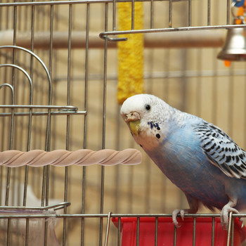 Αντιπροσωπεύει Bird Cage Toys Παπαγάλος Βάση Πέρκα Ξύλινη Φυσική Πέρκα Πουλιών Αξεσουάρ Βάσεις Παπαγάλοι