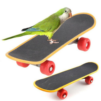 Αστεία Mini Skateboard Parrot Bird Toy Training Skateboard Budgies Parakeet Growth Toy Intelligence Bird Accessories Προμήθειες για κατοικίδια