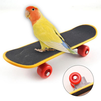 Amuzant Mini Skateboard Papagal Păsări Jucărie Antrenament Skateboard Budgies Peruși Jucărie de creștere Inteligență Accesorii pentru păsări Accesorii pentru animale de companie