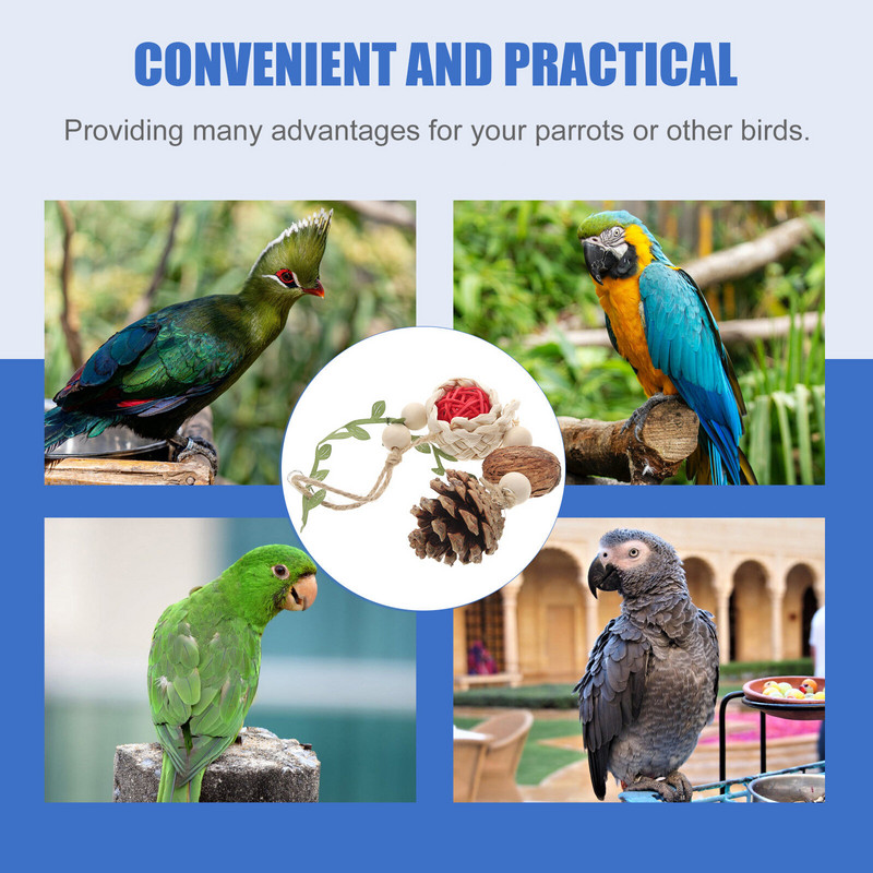 Putnu rotaļlietas Papagaiļa koduma rotaļlieta Radoša mājdzīvnieku putnu košļājamā priedes čiekuru rotaļlieta Putnu būris Karājās košļājamā rotaļlieta