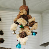 Putnu košļājamā rotaļlieta ar zvaniņiem Zobu molārs Dabīga koka papagaiļa karājas barības meklēšanas rotaļlietas Šūpoles būris Piederumi игрушки для попугаев