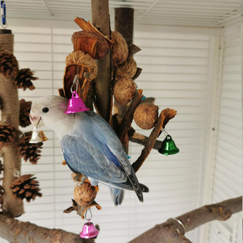 Παιχνίδι μασήματος πουλιών με καμπάνες Δόντια Φυσικό ξύλινο παπαγάλο που κρέμεται για τροφή Κούνιες Προμήθειες κλουβιού игрушки для попугаев