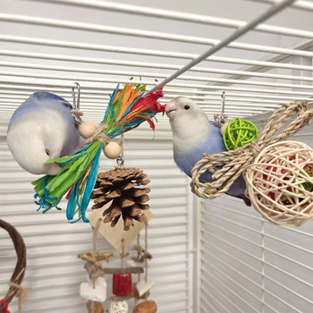 Παιχνίδι παπαγάλος πουλιών Κλουβί κρεμαστές μπάλες με κούνια παιχνίδι κατοικίδιων ζώων Πουλί που μασάει πουλί τεμαχισμού