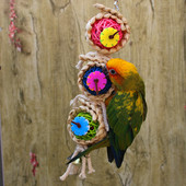 MOONBIFFY 9,44 collu krāsaina papagaiļa košļājamā rotaļlieta ar zvaniņu Sepa Takraw Twist String putnu būrīšu aksesuāri mājdzīvnieku rotaļu laukumu rotaļlietām