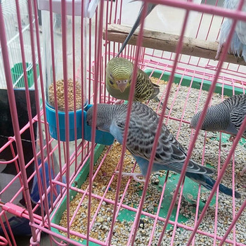 Pet Bird Plastic Auto Feeder Parrot Cockatiel Feeding Water Drinker Cup Bowl Dispenser Cage Supplies