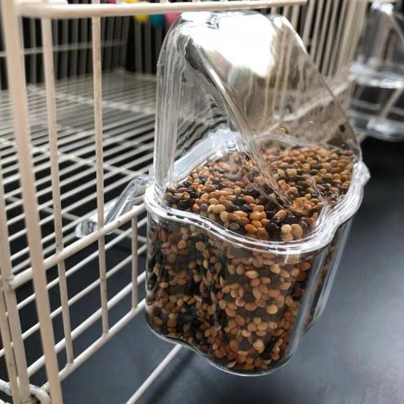 Parrot Bird Caurspīdīgās plastmasas pārtikas krūzes bļodas uzņēmums Clean Water Silo Waterer Box Putnu piederums papagaiļiem, Kanāriju salas