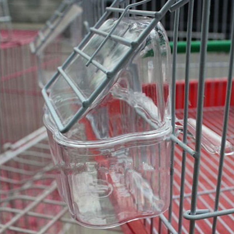 Parrot Bird Caurspīdīgās plastmasas pārtikas krūzes bļodas uzņēmums Clean Water Silo Waterer Box Putnu piederums papagaiļiem, Kanāriju salas