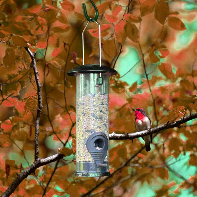Σιδερένιο κάλυμμα κάτω τροφοδότης για ζώα