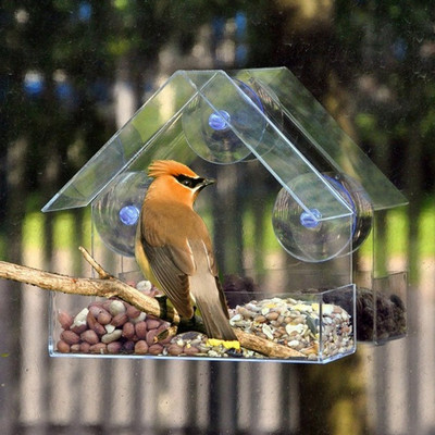 Bird Feeder Ακρυλικό Διαφανές Παράθυρο Bird Feeder Δίσκος Bird House Τροφοδότης κατοικίδιων ζώων Βεντούζα Εγκατάσταση House Type Feeder