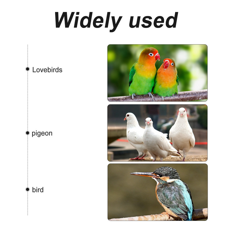 2 gab. Automātiskais mājdzīvnieku dzirdinātājs Papagaiļu barotavas konteiners Putnu dzērājs Dozators Dzeršanas piederumi Plastmasas papagaiļu būru piederumi