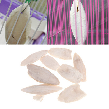 1 τσάντα Σουπιά Σέπια Κόκκαλο Σουπιά Ψάρια Τροφή για πουλί Ασβέστιο Pickstone Pet Drop Ship