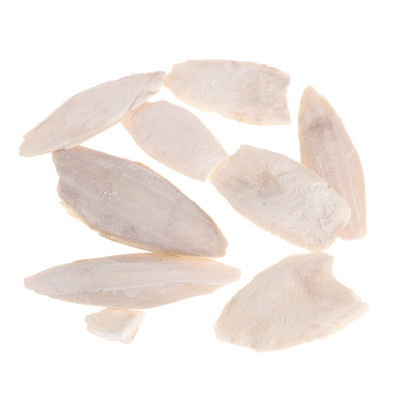 1 maiss Sēpija Sēpija Sēpija Kauls Sēpija Zivs Putnu Barība Kalcija Pickstone Pet Drop Ship