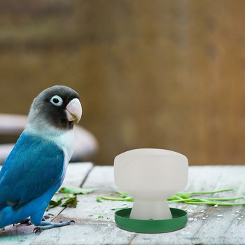 Поилка за гълъби Клетка за птици Хранилки за вода Дозатор за папагали Консумативи Държач за инструменти за пиене на домашни любимци