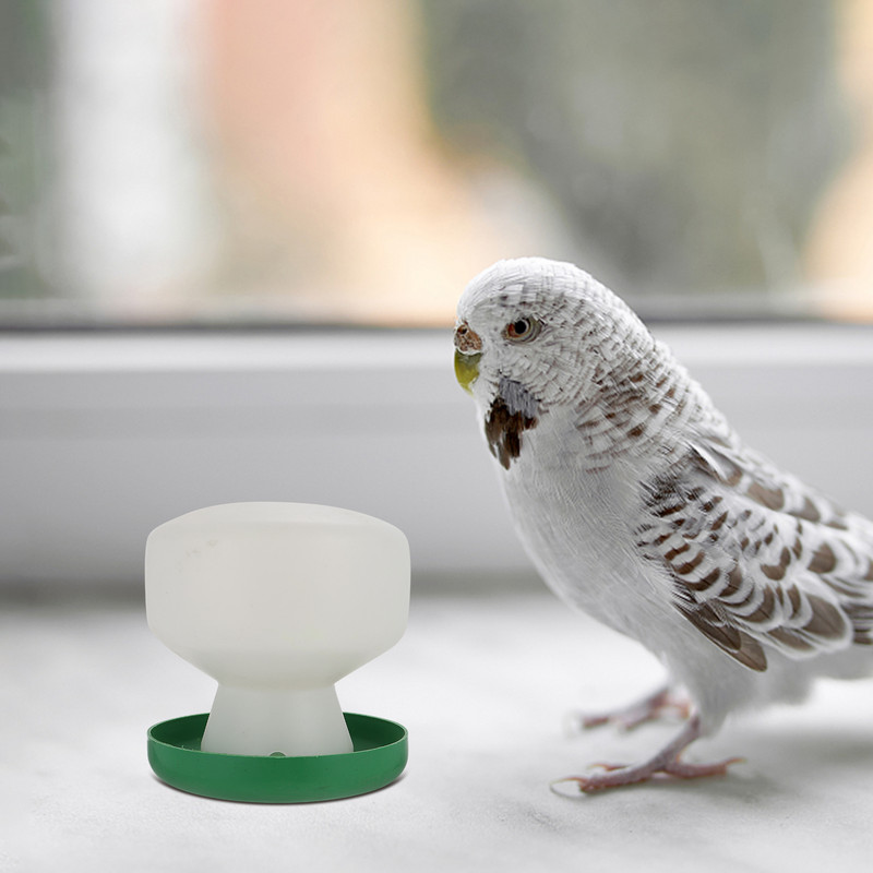 Baložu dzērājs Putnu būris Ūdens barotavas Papagaiļu dozators Izejmateriāli mājdzīvnieku dzeršanas rīku turētājs