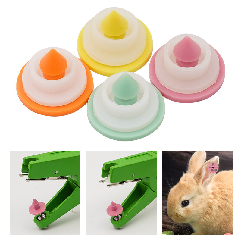 100 gab. Truša ausu zīmogs ar uzrakstu “Word Ear” ar lāzera ierakstīšanu vara galvas auskari ar 001–100 vārdu lauksaimniecības dzīvnieku identifikācijas karti