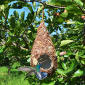 Bird House Hand-woven Roosting Nest Hummingbird House Φυσικό γρασίδι Υλικό Φωλιά πουλιών Φυσική καλύβα πουλιών για εξωτερικό χώρο