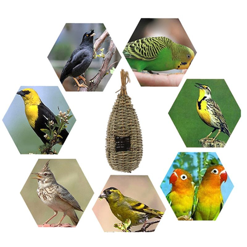 Bird Grass House Chickadee salmu būda ārā, piekarināma dabīgās šķiedras ligzda ar smailu augšdaļu, lai paslēptu kanārijputni