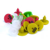 100 gab. Trušu ausu zīmes ar vārdiem Ausu rakstīšana ar lāzeru plastmasas galvas auskari Lauksaimniecības dzīvnieku identifikācijas karte Lauksaimniecības dzīvnieki