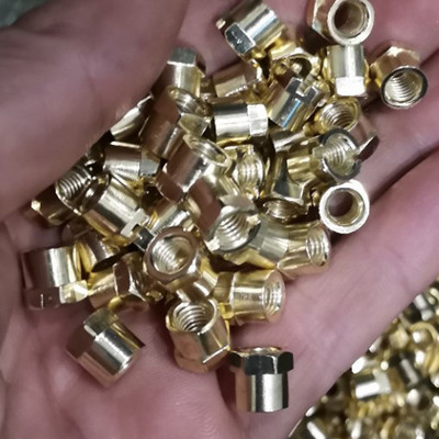 10 vnt Ausų įsagas Adatos Karvės Kiaulės Ožkos Avys Gyvuliai Galvijai Ausų žymeklis Adata Nagų Ūkio Gyvūnai Ausų įsagai Replės Priedai