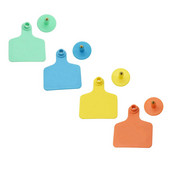 20 komplekti augstas kvalitātes TPU liellopu krotālijas un bezvārdu vara galvas auskari lauksaimniecības dzīvnieku identifikācijas kartes dzīvnieku piederumi