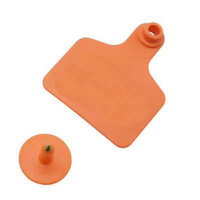 20 komplekti augstas kvalitātes TPU liellopu krotālijas un bezvārdu vara galvas auskari lauksaimniecības dzīvnieku identifikācijas kartes dzīvnieku piederumi