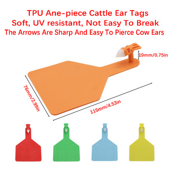 76*115 χιλιοστά μεγάλου μεγέθους TPU κενές μονοκόμματες ετικέτες αυτιών Σκουλαρίκια Προσαρμοσμένος αριθμός Ετικέτες αυτιών αγελάδας Αναγνώριση ζώων φάρμας Ανθεκτικό στην υπεριώδη ακτινοβολία 5 τεμ.