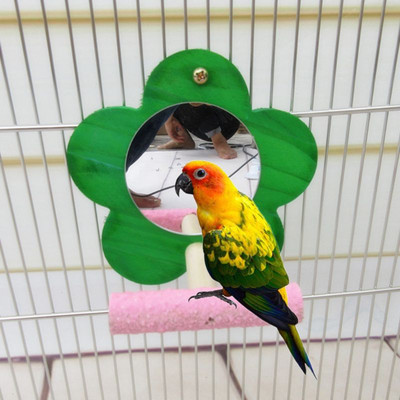 Огледало за птици с костур Естествена стойка за папагал Играчка за канарче Лорикет Какаду Цветна форма на цвете