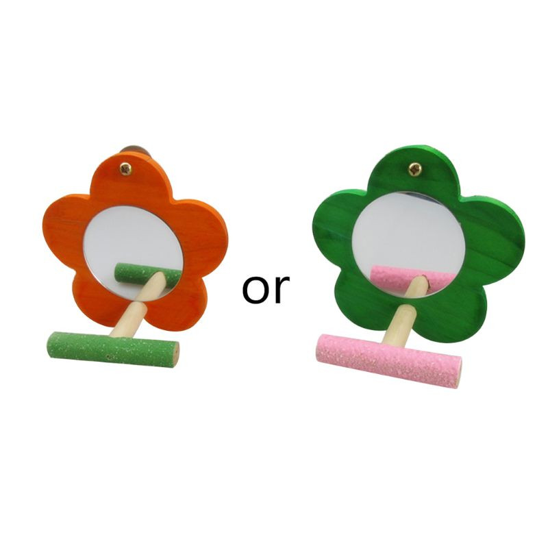 Putnu spogulis ar asari dabīgo papagaiļu statīvu Kanāriju salu kakadu krāsains zieds