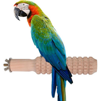 Parrot Perches Stand αντιολισθητικός κλουβιά πουλιών Εκπαιδευτικό παιχνίδι κοτόπουλο Parrot Standing Pole Perch Wood Roosts Bar Stand For Parrots Birds