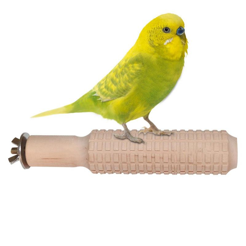 Papagaiļu laktas statīvs Neslīdošs putnu būri Apmācības rotaļlieta Cālis Papagailis Statīvs Makšķeres Statīvs Papagailis Putns