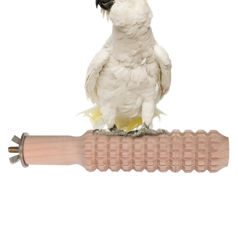 Papagaiļu laktas statīvs Neslīdošs putnu būri Apmācības rotaļlieta Cālis Papagailis Statīvs Makšķeres Statīvs Papagailis Putns