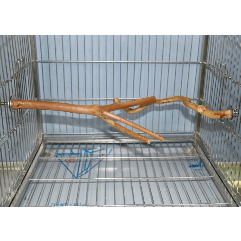 Dabīgs papagailis asaris putnu statīvs koku nūja ķepu slīpēšanas dakša papagailis kāpšana putns stāv zari Rotaļlietas putnu būru piederumi