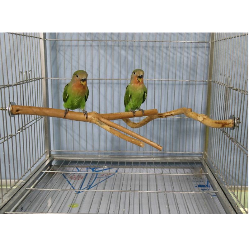 Dabīgs papagailis asaris putnu statīvs koku nūja ķepu slīpēšanas dakša papagailis kāpšana putns stāv zari Rotaļlietas putnu būru piederumi