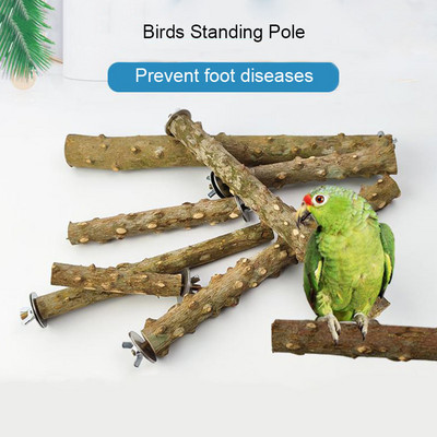 Spiky Natural Wood Pet Parrot Raw Wood Fork Tree Branch Stand Rack Squirrel Bird Hamster Branch Perches Chew Bite Toys Stick
