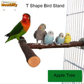 Dabīgā koka mājdzīvnieku papagailis neapstrādāta koka dakšu koka zaru statīvs vāveres putns kāmja zars laktas košļāt koduma rotaļlietas