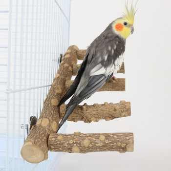 Φυσικό ξύλο Parrot Bird Perches Bird Stand Paw Grinding Fork Parakeet Climb Stand Branch Ladder Toys Bird Cage Bird Accessories