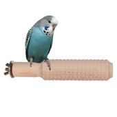 Cāļu rotaļlietas Brooderam Neslīdošs papagailis, stāvošs nūja, putnu apmācības stends.